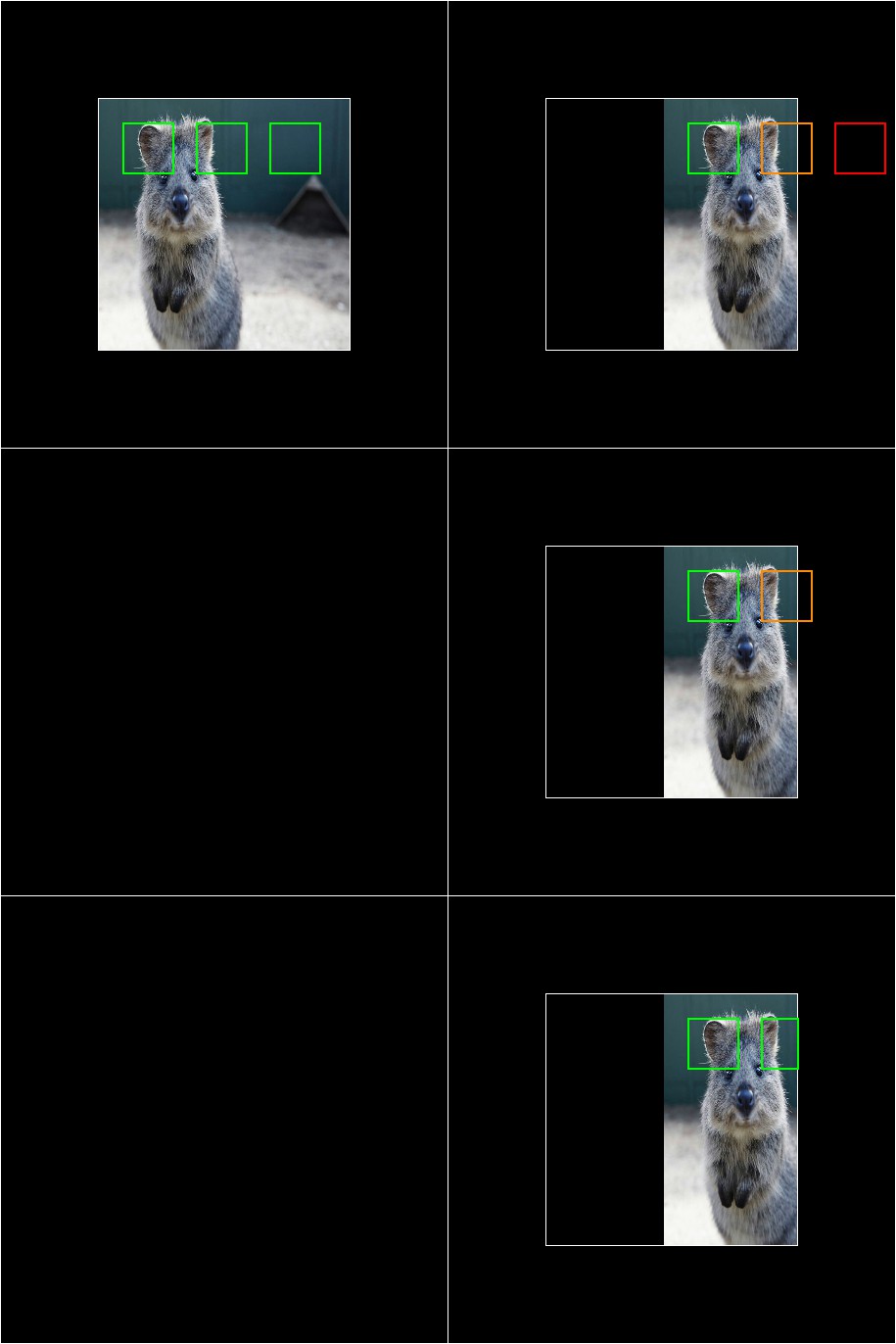 Bounding box augmentation with OOIs